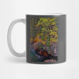 Canada. Canadian Rockies. Jasper NP. Maligne Canyon. Fall Colors. Mug